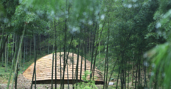 【綠色創生・雲林草嶺】山村上的綠色創生—— 草嶺石壁療癒祭下，竹建築與森林療癒的美麗相遇